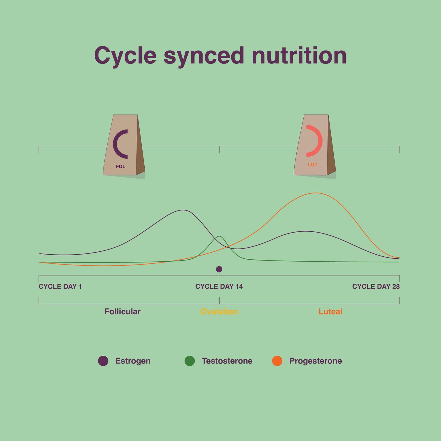 Seed Cycle Blend (1-month)